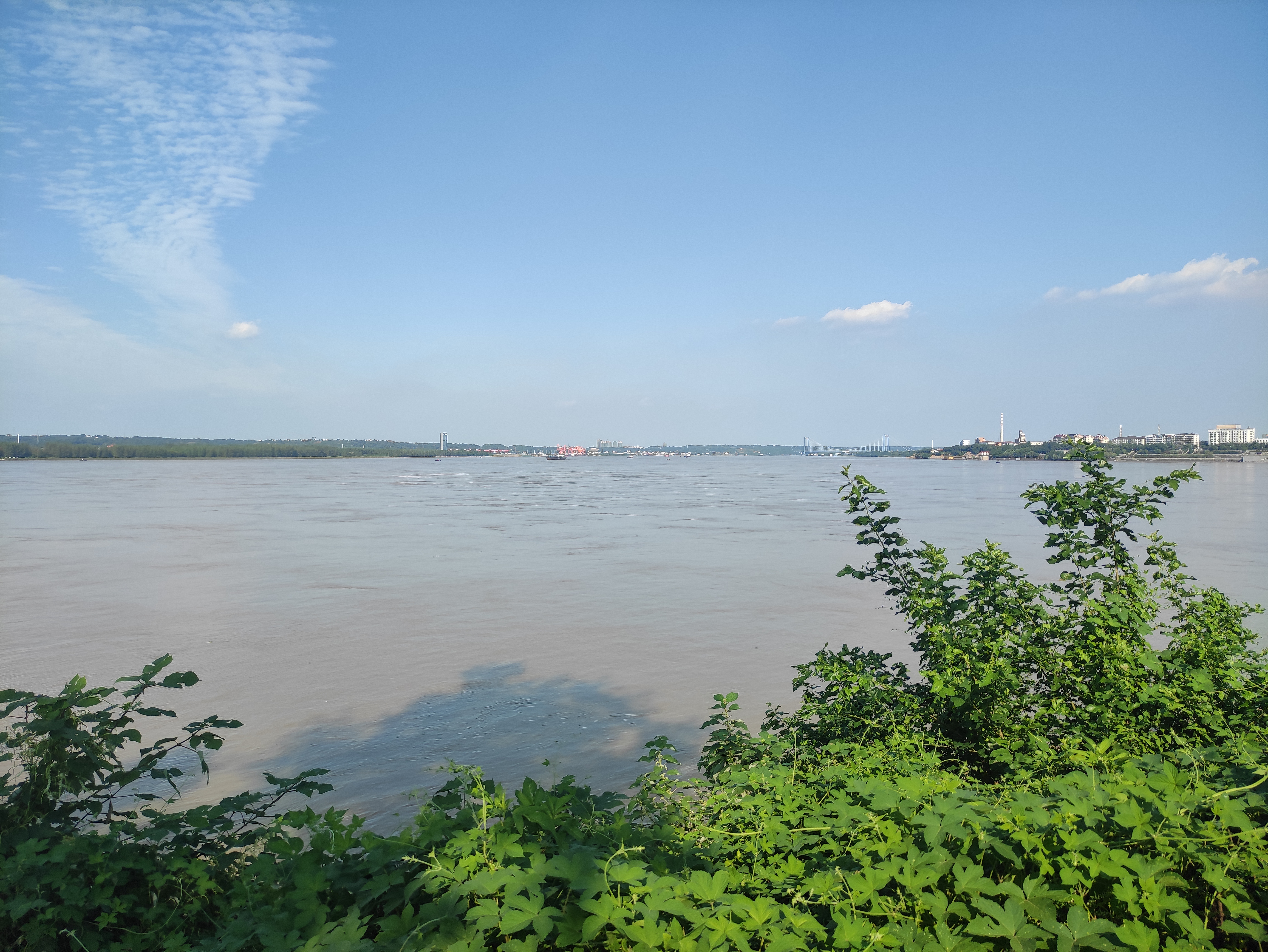 IMG_20210908_160818